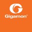 Gigamon-headshot