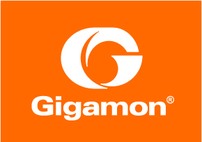 What Is Network Virtualization? - Gigamon Blog